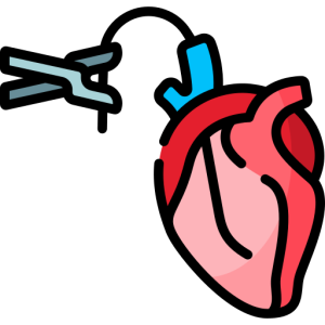 Cardiac Thoracic & Vascular Surgery icon